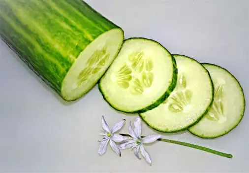 Cucumber quality management solution