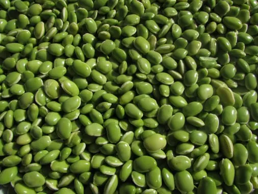 Bean quality control solution