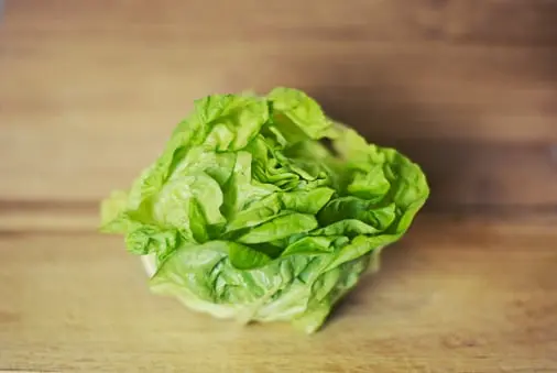 Lettuce quality management solution 