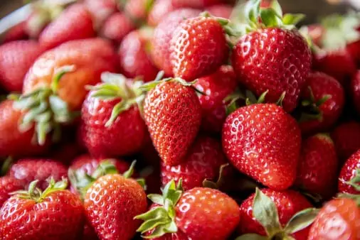 Strawberry quality management solution