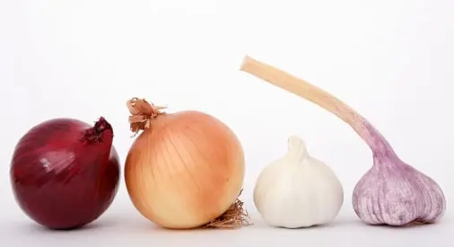 Onion quality management solution