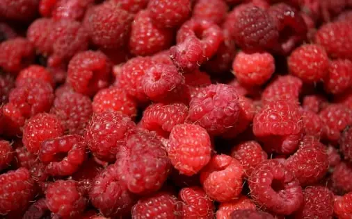 Berry quality control management solution