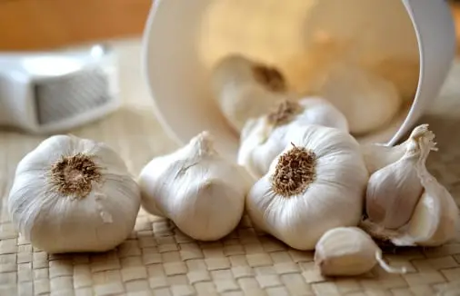 Garlic quality management solution