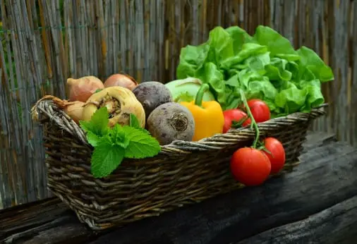 Fruit vegetable quality management solution