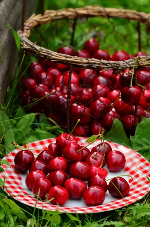 Cherry quality management solution