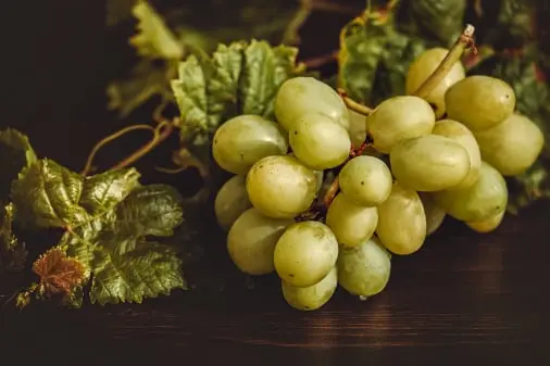 Grape quality management solution